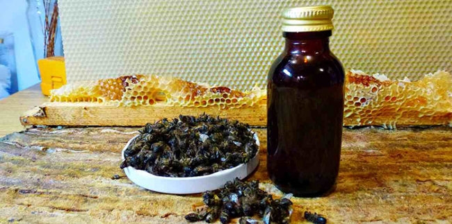 лекарство из пчелиного подмора