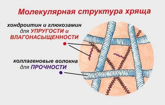 Артроактив капсулы инструкция по применению