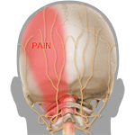 Nerve block injection test