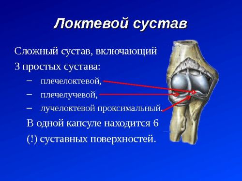 Локтевой сустав