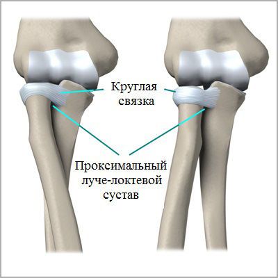 Локтевой сустав