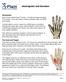 Hand Injuries and Disorders
