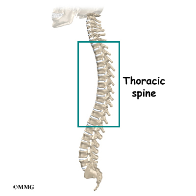 Spinal Compression Fractures