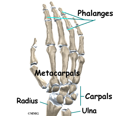 Wrist Joint Osteoarthritis