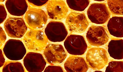 рецепты чудо мази с пчелиным воском и ее применение