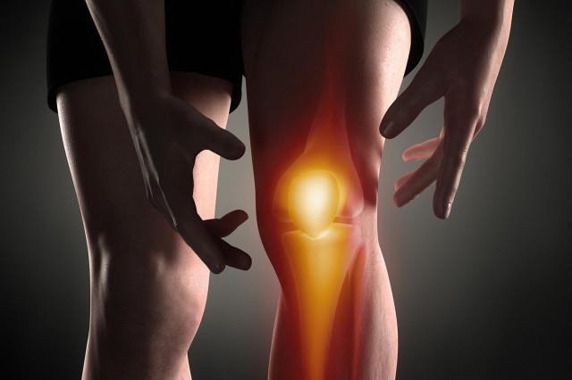 краткая анатомия коленного сустава