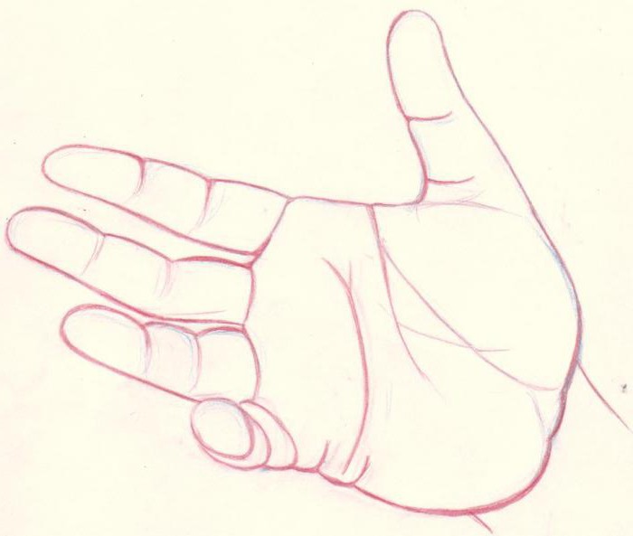 как нарисовать кисть руки в разных положениях