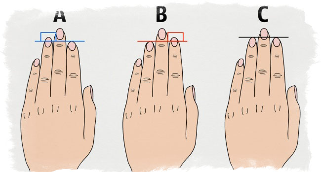 длина пальцев