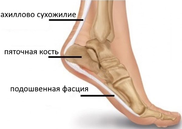 Болят пятки при ходьбе, больно наступать. Причины, чем лечить кожу стоп в домашних условиях