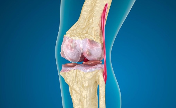 Остеоартроз коленного сустава. Лечение, что это такое, препараты, лечебная гимнастика, упражнения