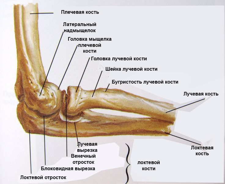 латеральный эпикондилит