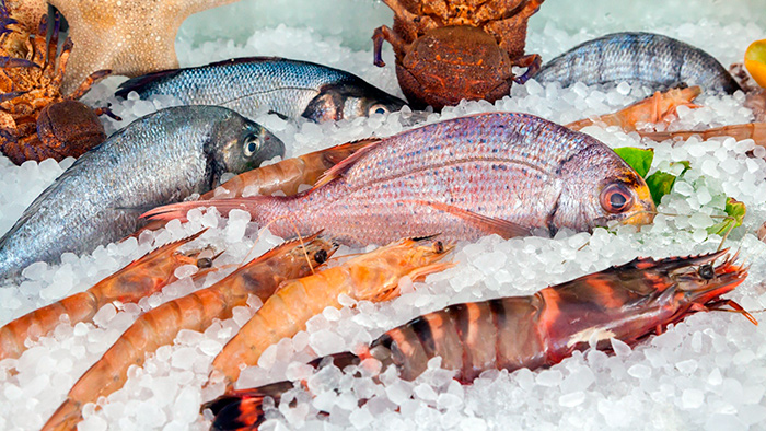 Не жирные сорта рыбы помогут восстановить изношенную хрящевую ткань