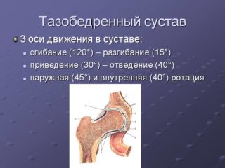 Определение объема движений в тазобедренных суставах таблица