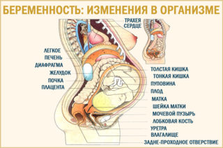 Почему во время беременности потемнел пупок