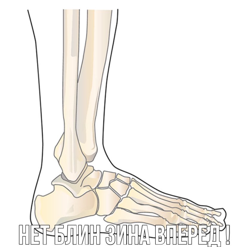 Голеностопный сустав левой ноги. Кости лодыжки анатомия. Латеральная лодыжка анатомия. Медиальная лодыжка расположена.