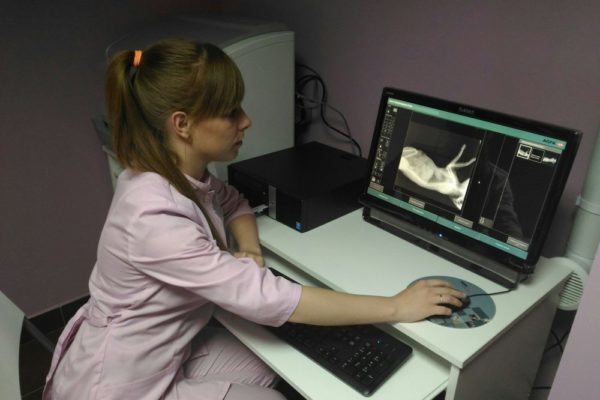 Рентгенография является дополнительным к сбору анамнеза способом диагностики