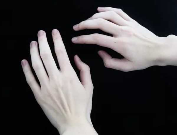 белые руки