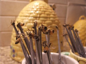 Лечение пчёлами
