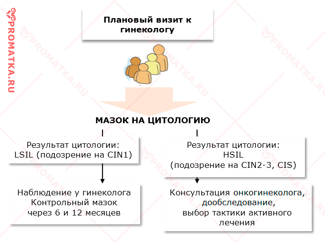 Алгоритм действий при CIN3 - схема