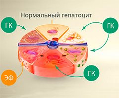 причины поражения печени