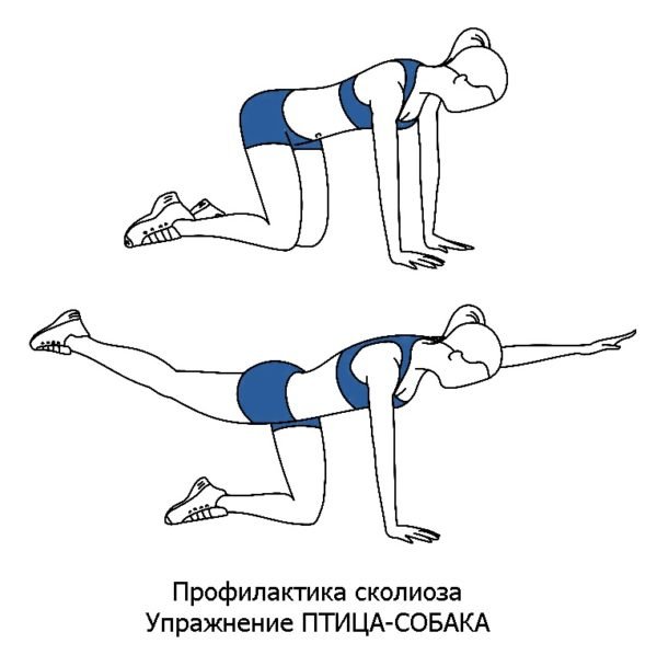 Упражнение №6: Птица и собака