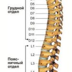 Признаки сколиоза