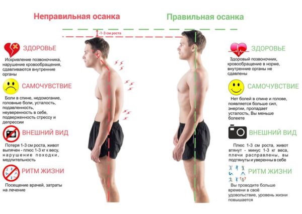 Правильная осанка у мужчин