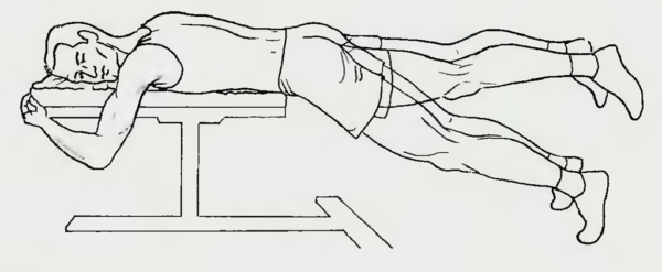 Поднимание прямых ног назад лежа животом на скамье