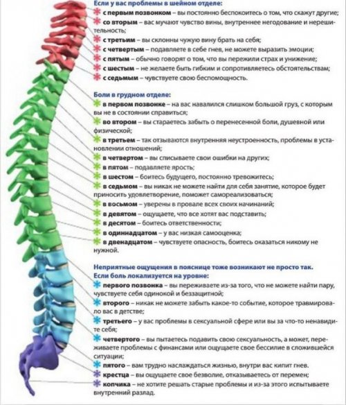 Карта психосоматических причин болезней спины