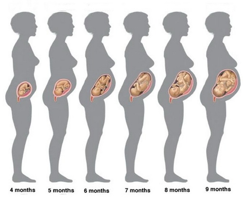 6 причин боли в пояснице при беременности на ранних сроках