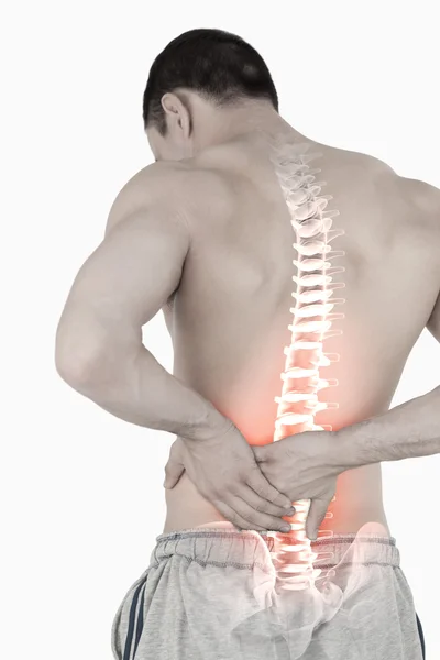 Выделенные позвоночника человека с болями в спине Стоковая Картинка