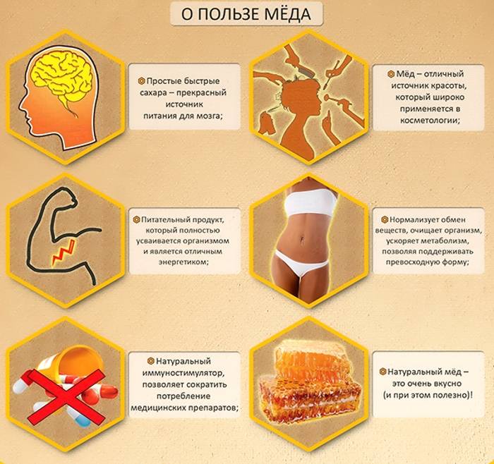 Общая польза меда для организма