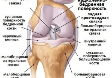 Лечение коленного сустава: основные болезни и методы терапии