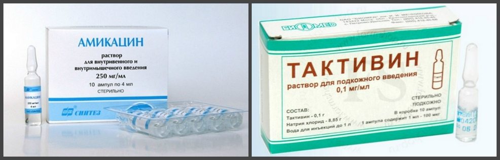 Амикацин и Тактивин