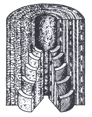 Рис. 3. Схема Гаверсовой системы (по Штеру).