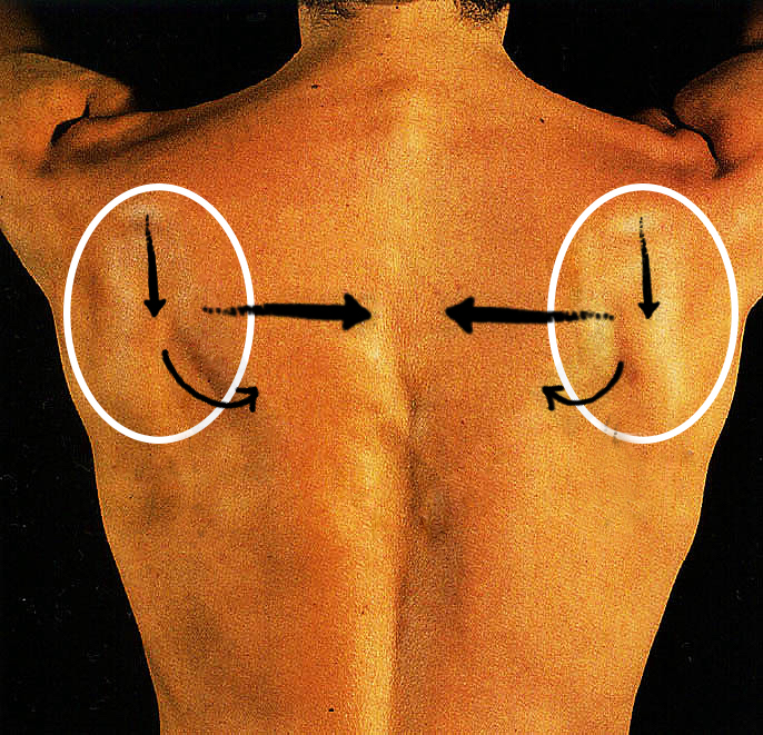 Лопатки в груди. Ось лопатки. Раскрытие грудной клетки. Миозит упражнения грудной.